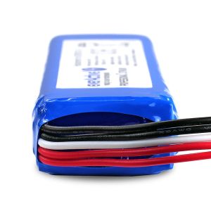 Заредете Ритъма с Енергия: everActive EVB100 - Издръжлива Батерия за JBL Xtreme Bluetooth Speaker, Сега на BATERIIKI.COM!